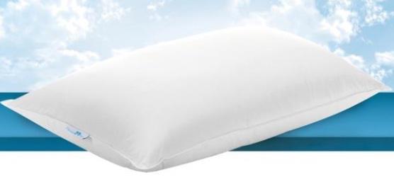 Pillow Platinum Classic